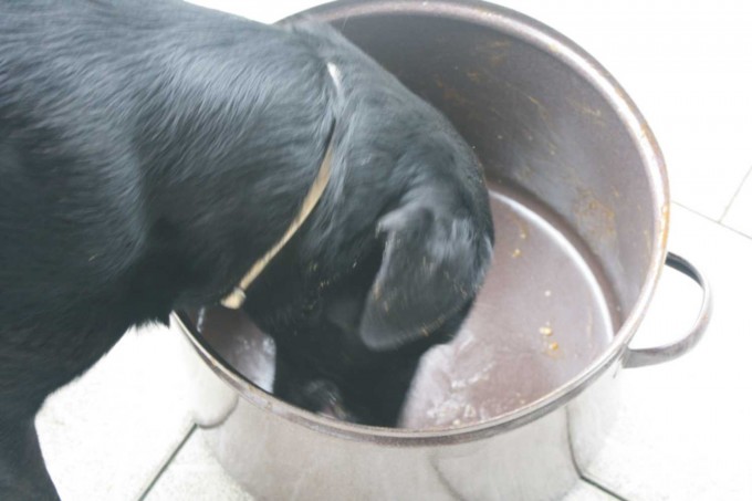 gulas 3