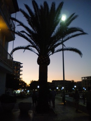 DSCN1085